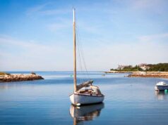 Unique Elephant Experience